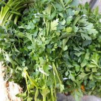 سبزی جعفری
