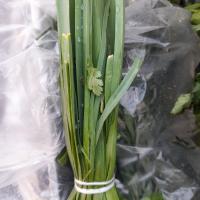 سبزی تره