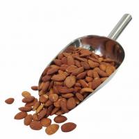 بادام درختی ایرانی شور