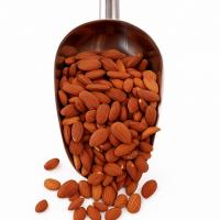 بادام خارجی شور