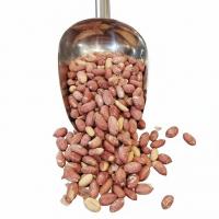 بادام زمینی