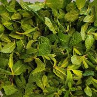 سوسن پاک شده