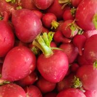 تربچه پاک شده