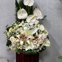 باکس یک طرفه سفید