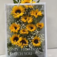 پک آفتاب بزرگ