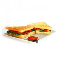 تست پنیر (تک نفره)