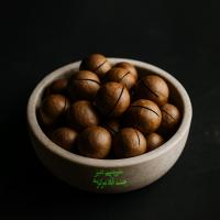 فندق ماکادمیا