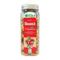 گرانولا وگن بری