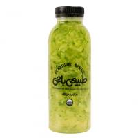 دیتاکس خیار سکنجبین 400 سی سی