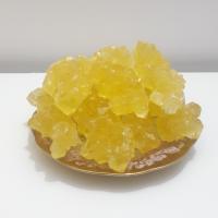 نبات پرده ای یزد