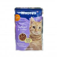 پوچ گربه وینستون پرندگان