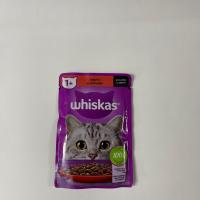 پوچ گربه ویسکاس گوشت گاو