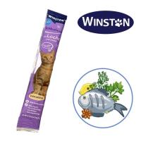 بستنی گربه با طعم ماهی قزل آلا وینستون