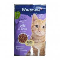 پوچ گربه وینستون با طعم اردک و گوشت شکار 100 گرمی