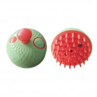 برس بخار توپی