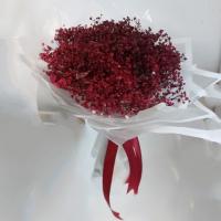 ژیپسوفیلا قرمز