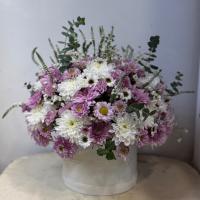 باكس گرد داوودى كد 620