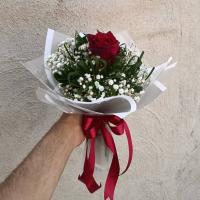 رز تک شاخه مرداب