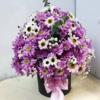 باکس داوودی3