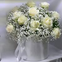 باکس رز سفید