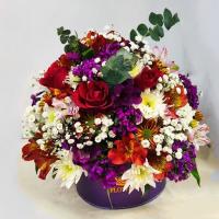 باکس گل گرد کد 92
