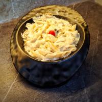 پاستا چیکن آلفردو