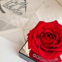 رز جاودان کینگ