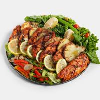 گریل فیتنس یک نفره رژیمی بدون طعم