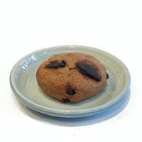 کوکی پروتئین