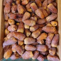 خرما خشک مجول