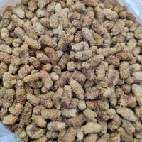 توت خشک لوکس