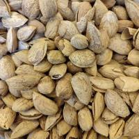 بادام درختی با پوست خام