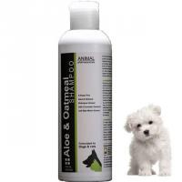 شامپو سگ و گربه انیمال پی