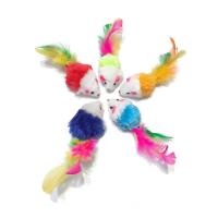 موش دم پر رنگی