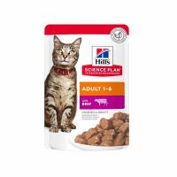 پوچ هیلز گربه طعم بیف