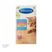 بستنی گربه وینستون با طعم مرغ و ماهی