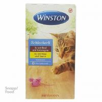 بستنی گربه وینستون با طعم گوشت و پنیر