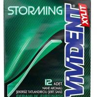 آدامس استورمینگ نعنا شیرین ویویدنت 33 گرم