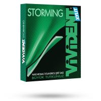 آدامس استورمینگ نعنا شیرین ویویدنت