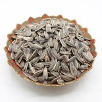 تخمه آفتاب گردان دور سفید شور