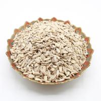 مغز تخمه آفتابگردان