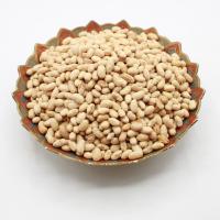 سویا بوداده بی نمک