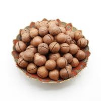 فندق ماکادمیا