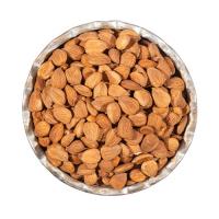 هسته زرد آلو