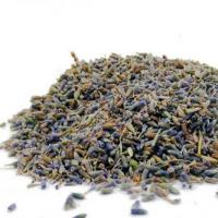 اسطوخودوس اعلاء