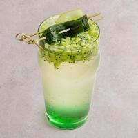 عرق خیار سکنجبین