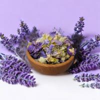 گل ختمی بنفش