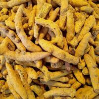 زردچوبه قلم