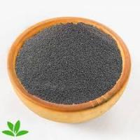 تخم شربتی ریز