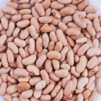 لوبیا کشاورزی